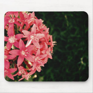 Pink Mouse Pad