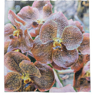 Pink multicolored orchid flowers watercolor