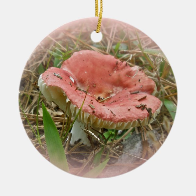 Pink Mushroom Christmas Ornament (Front)