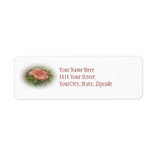 Pink Mushroom Coordinated Items Label