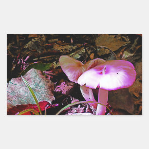 Pink Mushroom Sticker