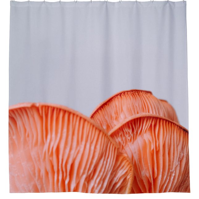 PINK MUSHROOMS (Front)