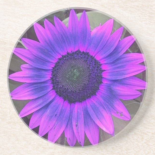 Pink N Purple Sunflower coaster (Front)