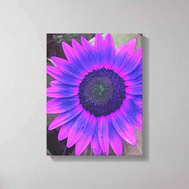 Pink N Purple Sunflower Wrapped Canvas (Front)