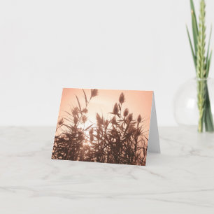 Pink Nature notecard