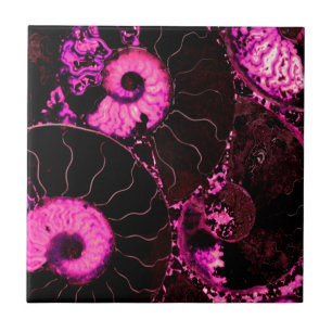 Pink Nautilus fossil shell pattern  Tile