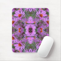Pink New England Aster Flowers Abstract