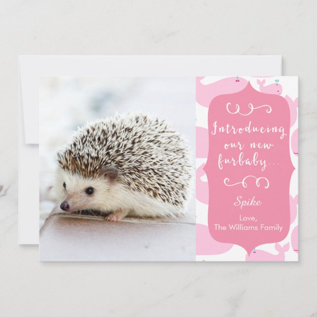 Pink New Furbaby Announcement (Front)