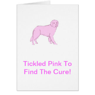 Pink Newfoundland