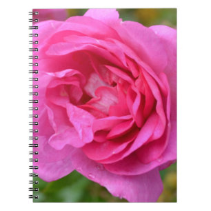 Pink November Rose Notebook