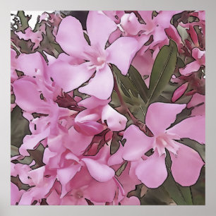Pink Oleander Rose Laurel Black Outline Art Poster