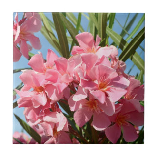 Pink Oleander tile