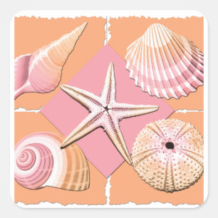 Pink & Orange Sea Shells Square Sticker
