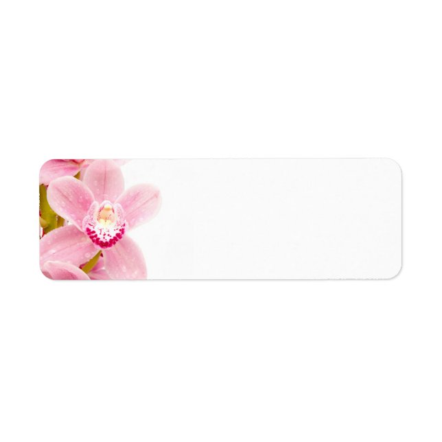 Pink Orchid (Front)