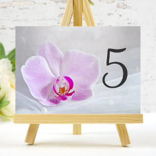 Pink Orchid and Bridal Veil Wedding Table Numbers
