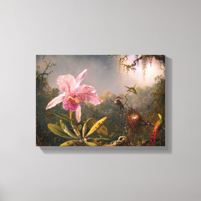 Pink Orchid and Three Hummingbirds Canvas Print (Front)