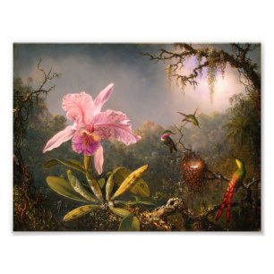 Pink Orchid and Three Hummingbirds Print