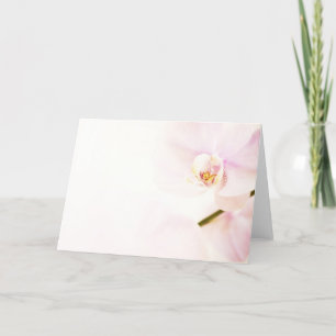 Pink Orchid Background greeting card