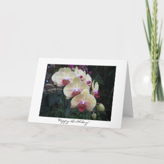 Pink Orchid Birthday Card