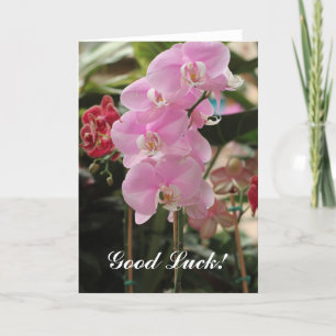 Pink Orchid blooms Card