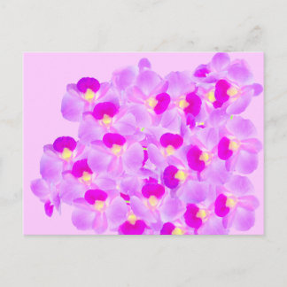 Pink Orchid Bouquet Postcard