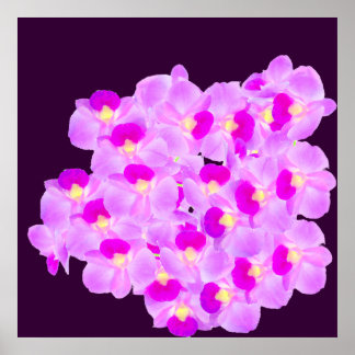 Pink Orchid Bouquet Poster