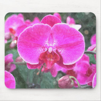 Pink orchid flower, floral photography mouse pad