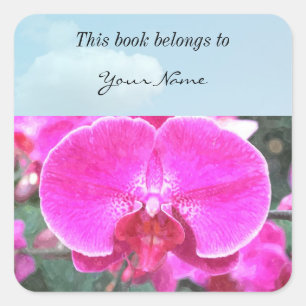 Pink orchid flower, floral photography square sticker