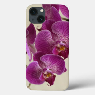 Pink Orchid Flowers iPhone 13 Case