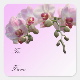 pink orchid flowers, Christmas gift wrap labels. Square Sticker