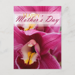 Pink Orchid for Mothers Day Postcard