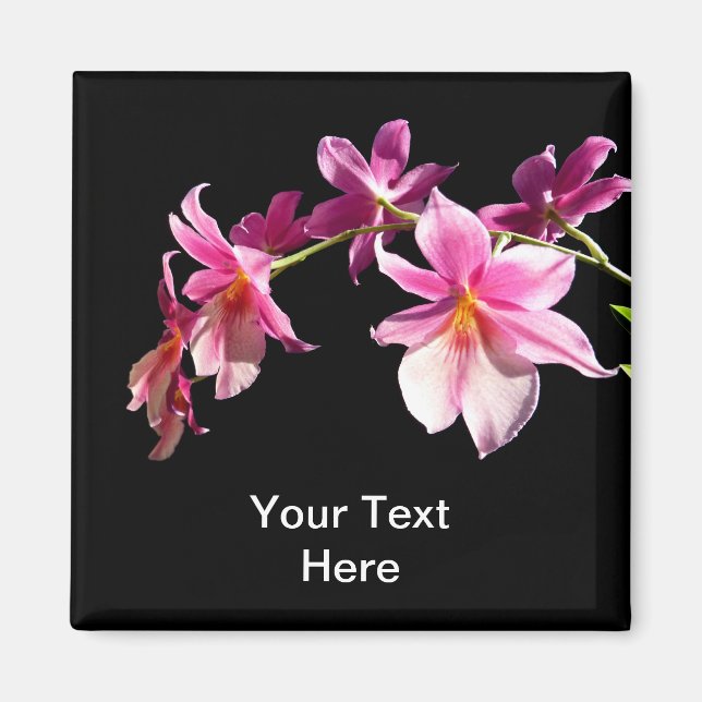 Pink Orchid. Magnet (Front)