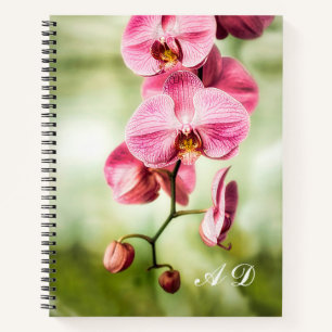 Pink Orchid Notebook