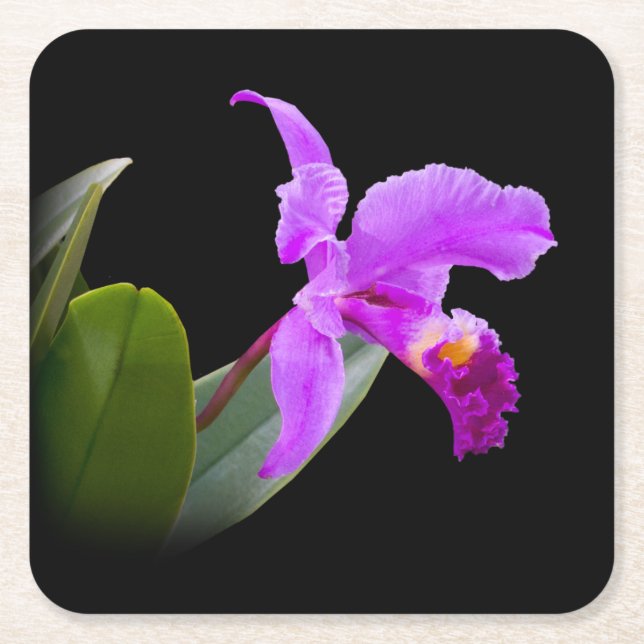 Pink Orchid on Black Square Paper Coaster (Front)