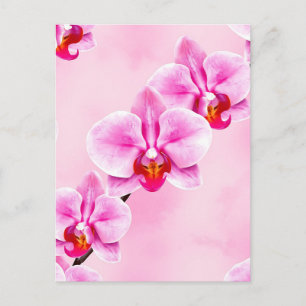 Pink Orchid Pattern Tropical Floral Soft Pastel  Postcard