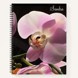 Pink Orchid Personalized Spiral Notebook