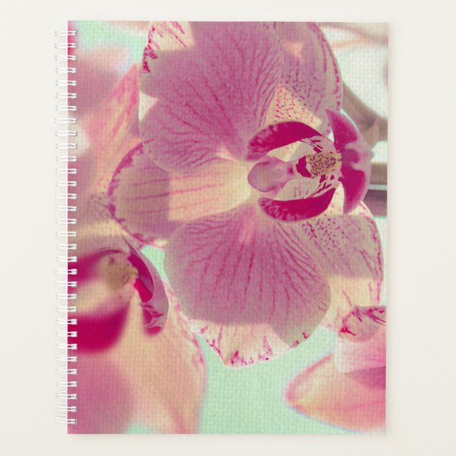 Pink Orchid Planner (Front)