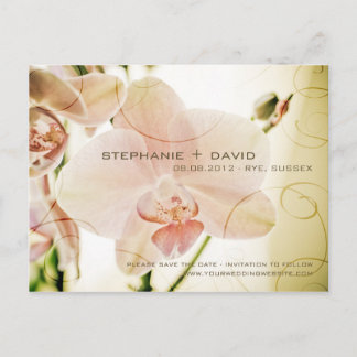 Pink Orchid • Save the Date Postcard