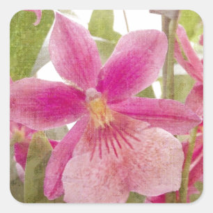 Pink Orchid Square Sticker