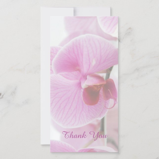 Pink Orchid Sympathy / Memorial Thank You Card (Front)