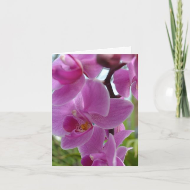 Pink Orchid Thank you (Front)
