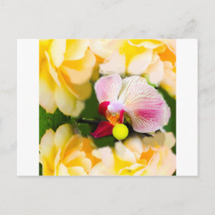 Pink orchid with tennis ball postcard