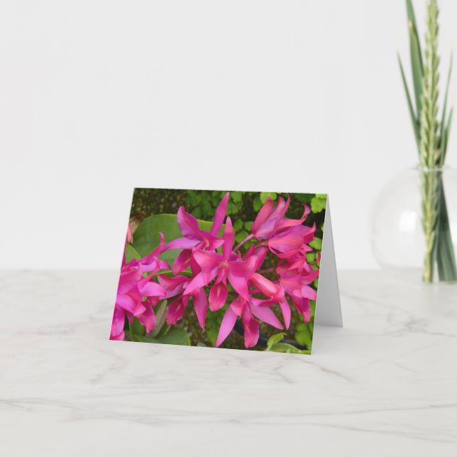 Pink Orchids All Occasions Customizable Card (Front)