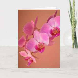 Pink Orchids Card