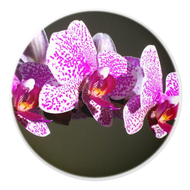 Pink Orchids Ceramic Knob (Front)