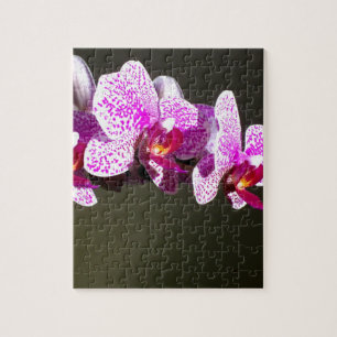 Pink Orchids Jigsaw Puzzle