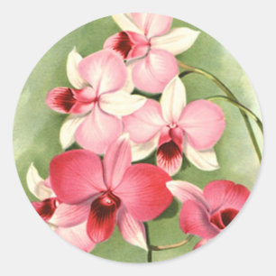 Pink Orchids - Sticker