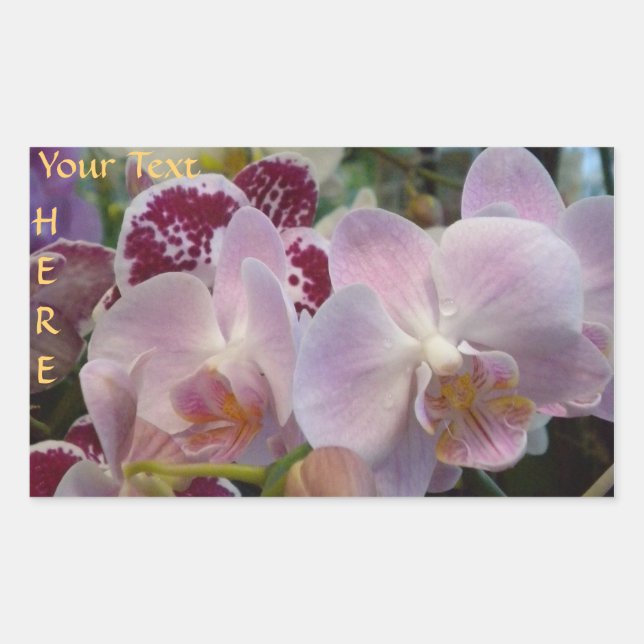 Pink Orchids stickers. *personalize* Sticker (Front)