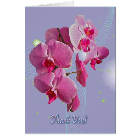 Pink Orchids Thank You Card