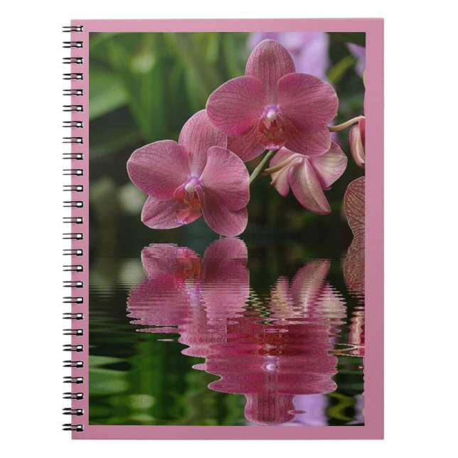 Pink Orchids With Reflections Notebook (Front)